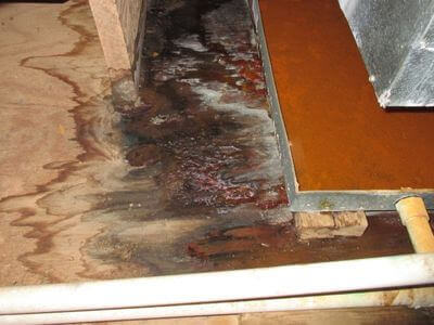 About water damage restoration service - storm damage restoration experts in Olympia